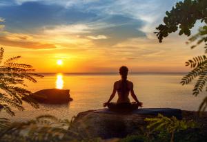 Дълбоката медитация може да подобри чревните бактерии