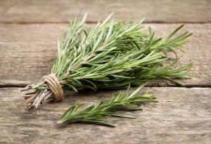 Съединение в розмарина може да помогне в борбата с болестта на Алцхаймер