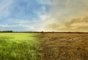 Нямаш нужда от суперсили, за да спасиш Земята