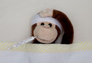 Ето какво представлява маймунската шарка и защо нямаме повод за притеснение (проверка на факти)