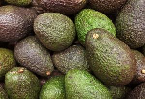 Авокадото подобрява способността за съсредоточаване на пълните и затлъстелите хора