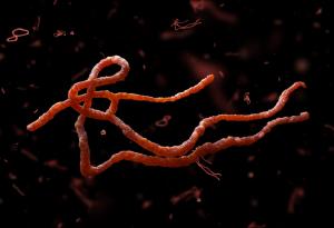 Паразитните червеи забавят човешкия прогрес. Ето как да ги спрем