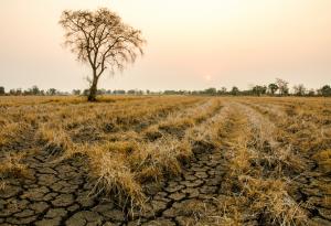 Цели региони ще станат непригодни за живот през следващите десетилетия заради горещите вълни
