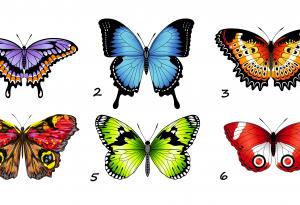 Тест: Избери си пеперуда и разбери повече за себе си