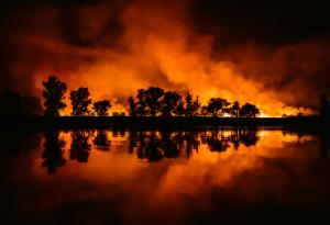 Пожарите – една по-различна гледна точка