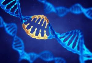 Учени идентифицираха гени, които увеличават риска от затлъстяване шест пъти