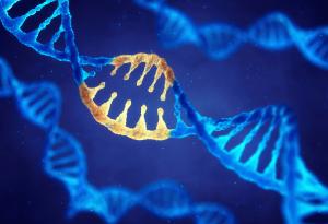 Генното инженерство може да спаси застрашени видове