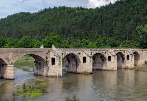 Дърво без корен плод не дава…