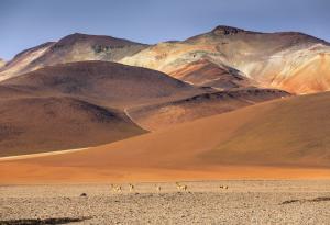 Научни открития поставиха рекорди през 2023 г.