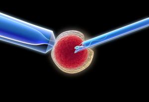 Роди се първото в света здраво бебе от незряла яйцеклетка, взета от болна от рак жена пред 5 г.