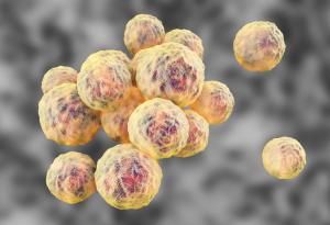 Докато светът се е фокусирал върху COVID-19, друга заплаха за здравето ни набира сила