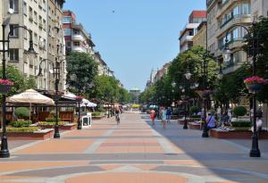 Полицаи съставят актове от по 5000 лева за разходка в София