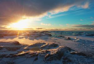 Учени откриха дълбоко под антарктическия лед древен ландшафт, формиран от реки 
