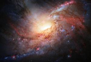 8-мерен модел на Вселената