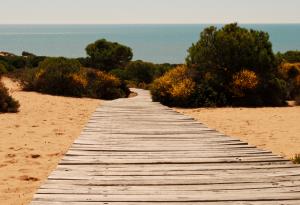 Испанският национален парк Доняна се превръща в пустиня