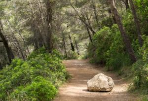 Всяко препятствие ни предоставя възможност да подобрим своето състояние