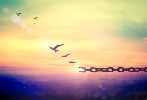 Жан-Жак Русо за смисъла