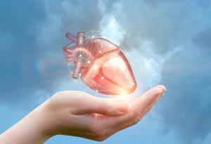 По кое време от денонощието е сърдечните операции са най-успешни?