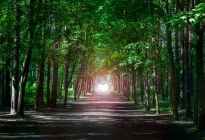 Епиктет за пътя към щастието