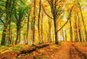 Септември 2023 г. е най-топлият в метеорологичната история на Европа и света