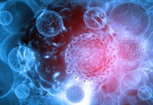 Протеинът T-bet – ключов фактор за паметните В-клетки в борбата с грипа