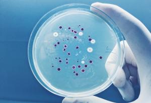 Как латентните бактериите преценяват кога да се върнат към живот
