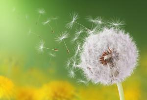 Време е да обърнете страницата