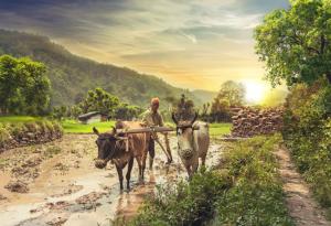 Доброто се връща