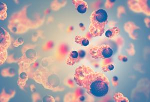 Японски учени успешно тестват имунотерапия срещу рак с индуцирани стволови клетки