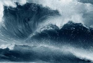 В световния океан има все повече "зони на смъртта"