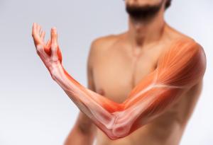 Учени създадоха изкуствени мускули на въглеродна основа