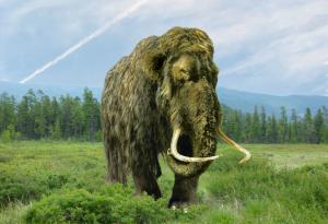 Генетици планират да възродят чрез клониране вълнестия мамут, птицата додо и тасманийския вълк до 2028 г.