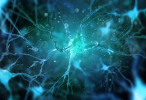 Учени откриха връзка между болестта на Алцхаймер и ментола