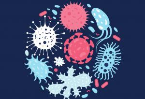 Как нашите микроби ни правят такива, каквито сме