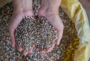 Прекалената употреба на торове по света има огромно влияние върху океаните