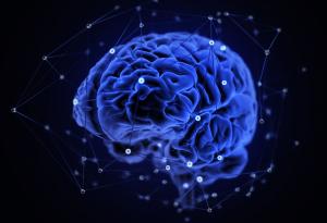  Холографски микроскоп създава детайлни изображения на мозъка