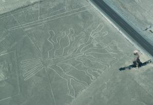 Изкуствен интелект откри нови гигантски геоглифи в перуанската пустиня Наска