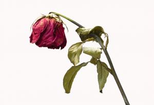 Паулу Коелю: на света няма нищо вечно