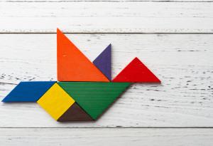 Гълъбите разбират от математика