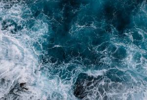 Енрик Сала: Щрихи от един първобитен океан