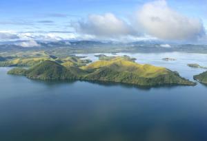 Oткриха нов вид птица в планинските райони на западната част на остров Нова Гвинея
