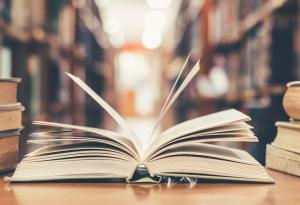 Леонардо да Винчи за ученето