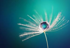 Не бъдете съвършени, а свободни