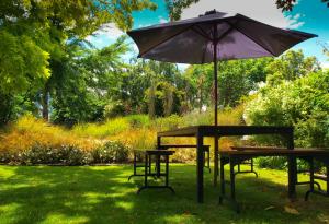 10 съвета за поддръжка на градински чадър