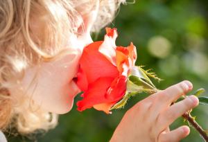 Учени откриха нов начин за ранно диагностициране на аутизъм