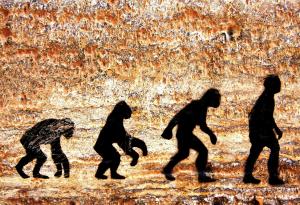 След Африка Хомо сапиенс се установил на териториите на днешни Иран, Ирак и Саудитска Арабия, преди да се отправи към Азия и Европа