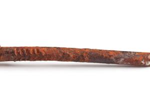 Всичко, което сте си мислили, че знаете за тетанусa, е погрешно