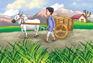 Чудомир за сиромашкия живот