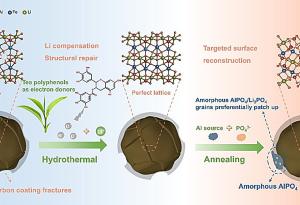 Съединения от чай вдъхват нов живот на изтощени литиеви батерии
