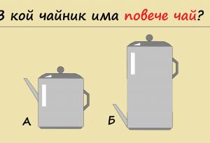 12 задачи за майсторите на логическото мислене